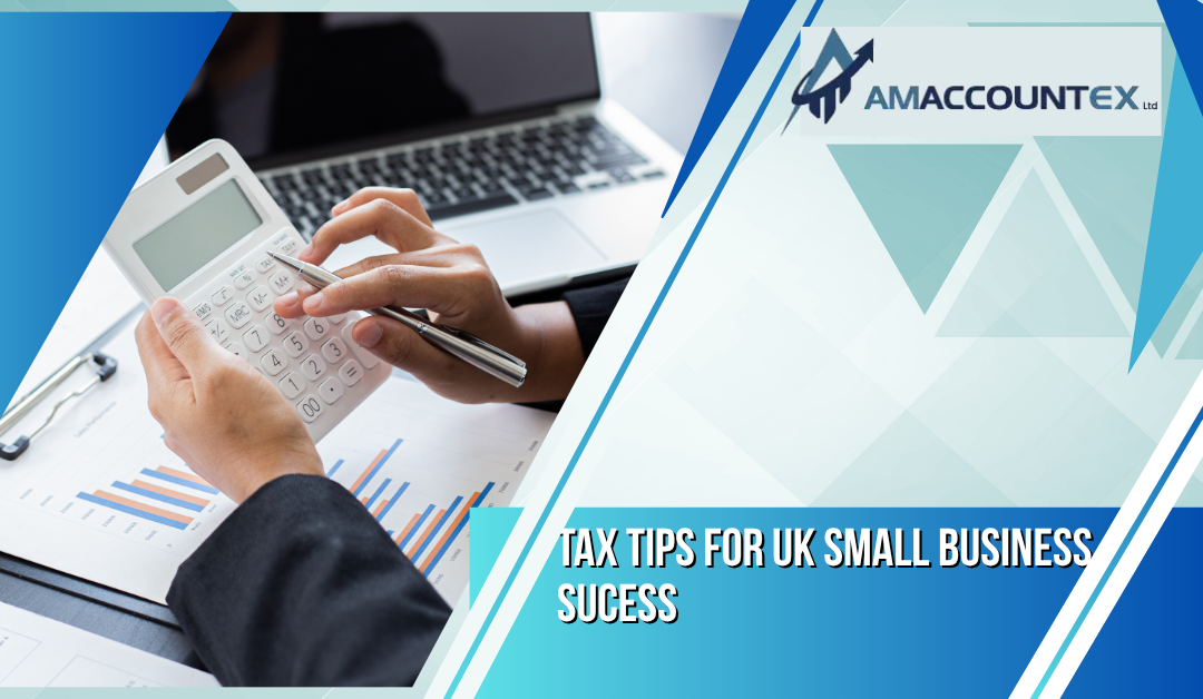 Tax Tips for Small Businesses in the UK AMAccountex Ltd